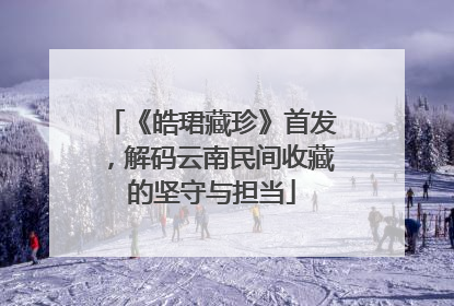 《皓珺藏珍》首发，解码云南民间收藏的坚守与担当