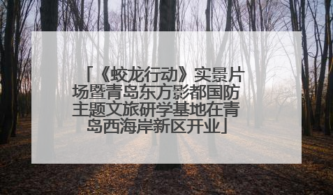 《蛟龙行动》实景片场暨青岛东方影都国防主题文旅研学基地在青岛西海岸新区开业