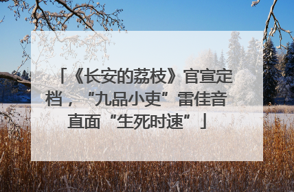《长安的荔枝》官宣定档，“九品小吏”雷佳音直面“生死时速”