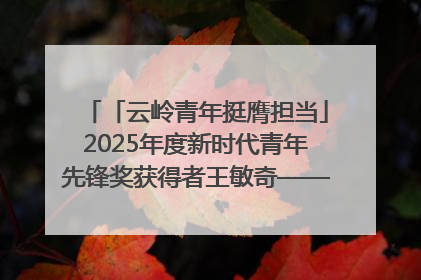 「云岭青年挺膺担当」2025年度新时代青年先锋奖获得者王敏奇——澜沧江上好渔人