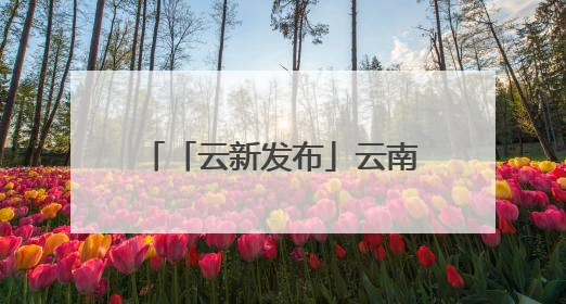 「云新发布」云南曲靖：盘活闲置用地 破题乡村旅居