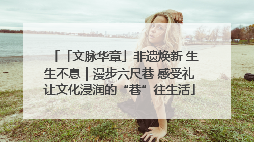 「文脉华章」非遗焕新 生生不息｜漫步六尺巷 感受礼让文化浸润的“巷”往生活