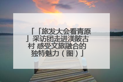「旅发大会看青原」采访团走进渼陂古村 感受文旅融合的独特魅力（图）