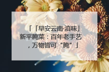 「早安云南·滇味」新平腌菜：百年老手艺，万物皆可“腌”