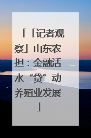 「记者观察」山东农担：金融活水“贷”动养殖业发展
