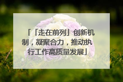 「走在前列」创新机制，凝聚合力，推动执行工作高质量发展