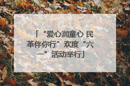 “爱心润童心 民革伴你行”欢度“六一”活动举行