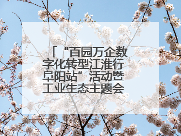 “百园万企数字化转型江淮行阜阳站”活动暨工业生态主题会议成功举办
