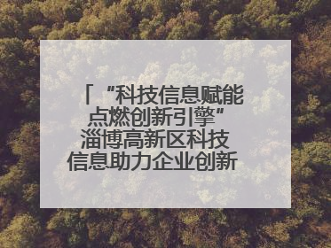 “科技信息赋能 点燃创新引擎” 淄博高新区科技信息助力企业创新发展培训会举办