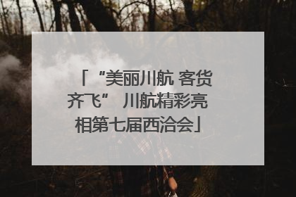 “美丽川航 客货齐飞” 川航精彩亮相第七届西洽会