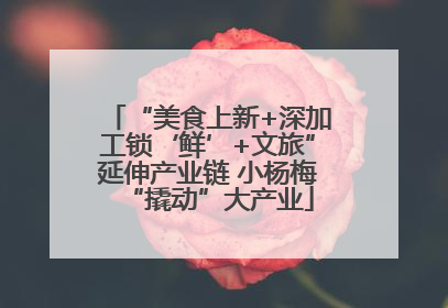 “美食上新+深加工锁‘鲜’+文旅”延伸产业链 小杨梅“撬动”大产业