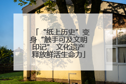 “纸上历史”变身“触手可及文明印记” 文化遗产释放鲜活生命力