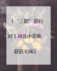 “三夏”进行时丨河北小麦收获近七成