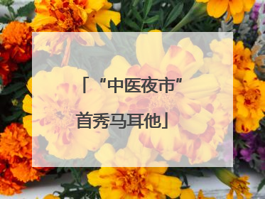 “中医夜市”首秀马耳他