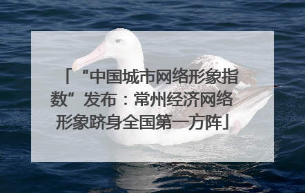 “中国城市网络形象指数”发布：常州经济网络形象跻身全国第一方阵