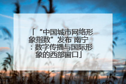 “中国城市网络形象指数”发布 南宁：数字传播与国际形象的西部窗口