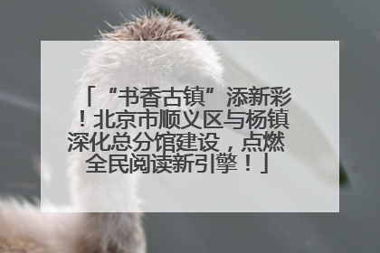 “书香古镇”添新彩！北京市顺义区与杨镇深化总分馆建设，点燃全民阅读新引擎！