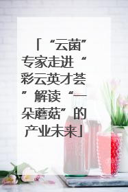“云菌”专家走进“彩云英才荟”解读“一朵蘑菇”的产业未来