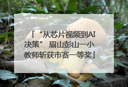 “从芯片视频到AI决策” 眉山彭山一小教师斩获市赛一等奖