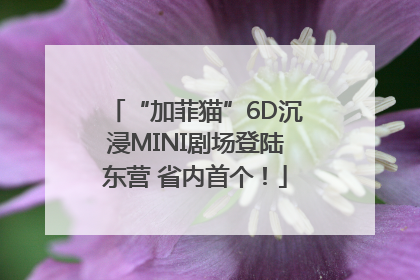 “加菲猫”6D沉浸MINI剧场登陆东营 省内首个！