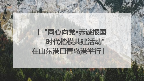 “同心向党•赤诚报国——时代楷模共建活动”在山东港口青岛港举行