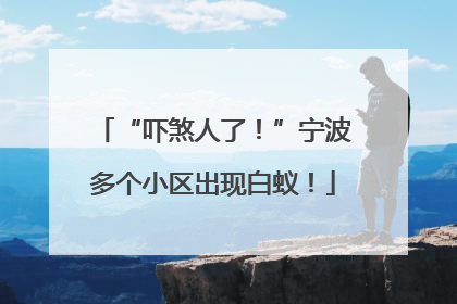 “吓煞人了！”宁波多个小区出现白蚁！