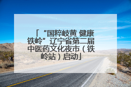 “国粹岐黄 健康铁岭”辽宁省第二届中医药文化夜市（铁岭站）启动