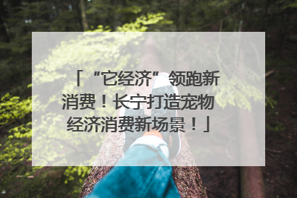 “它经济”领跑新消费！长宁打造宠物经济消费新场景！