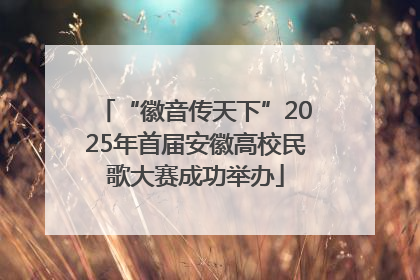 “徽音传天下”2025年首届安徽高校民歌大赛成功举办