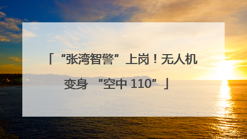 “张湾智警”上岗！无人机变身 “空中 110”