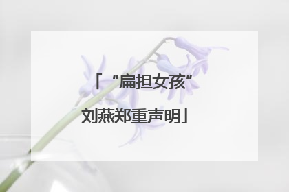 “扁担女孩”刘燕郑重声明
