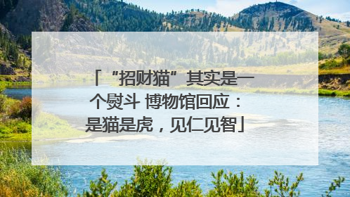 “招财猫”其实是一个熨斗 博物馆回应：是猫是虎，见仁见智