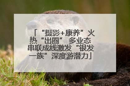 “摄影+康养”火热“出圈” 多业态串联成线激发“银发一族”深度游潜力