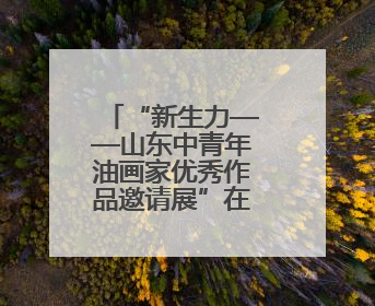 “新生力——山东中青年油画家优秀作品邀请展”在济南举行