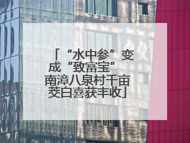 “水中参”变成“致富宝” 南漳八泉村千亩茭白喜获丰收