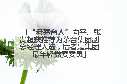 “老茅台人”向平、张贵超获推荐为茅台集团副总经理人选，后者是集团最年轻党委委员