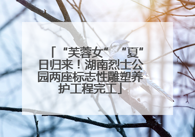 “芙蓉女”“夏”日归来！湖南烈士公园两座标志性雕塑养护工程完工