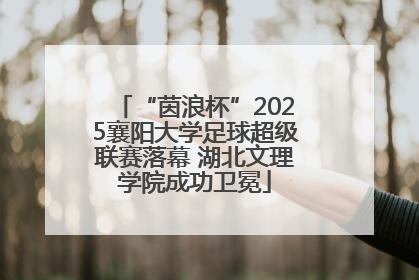 “茵浪杯”2025襄阳大学足球超级联赛落幕 湖北文理学院成功卫冕