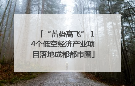 “蓄势高飞” 14个低空经济产业项目落地成都都市圈