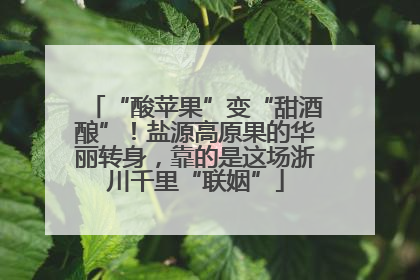 “酸苹果”变“甜酒酿”！盐源高原果的华丽转身，靠的是这场浙川千里“联姻”
