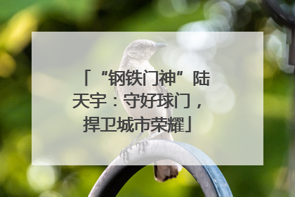 “钢铁门神”陆天宇：守好球门，捍卫城市荣耀