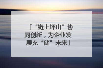 “链上坪山”协同创新，为企业发展充“储”未来