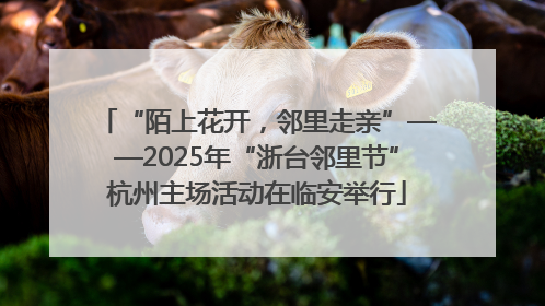 “陌上花开，邻里走亲”——2025年“浙台邻里节”杭州主场活动在临安举行
