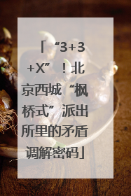 “3+3+X”！北京西城“枫桥式”派出所里的矛盾调解密码