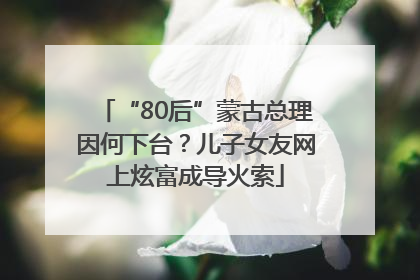 “80后”蒙古总理因何下台？儿子女友网上炫富成导火索