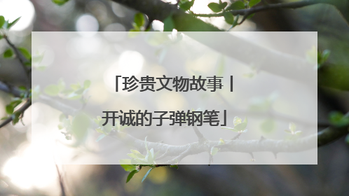 珍贵文物故事丨开诚的子弹钢笔