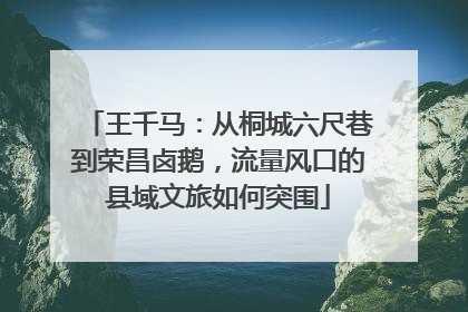 王千马：从桐城六尺巷到荣昌卤鹅，流量风口的县域文旅如何突围