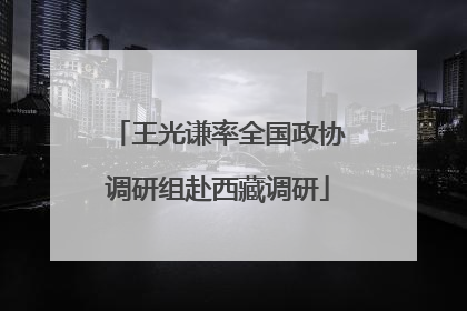 王光谦率全国政协调研组赴西藏调研