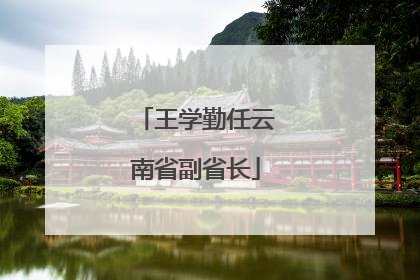 王学勤任云南省副省长