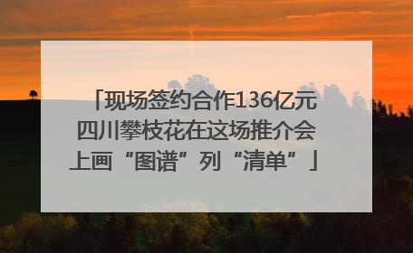 现场签约合作136亿元 四川攀枝花在这场推介会上画“图谱”列“清单”
